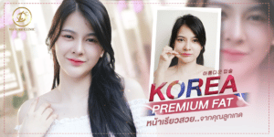 รีวิวเมโสแฟต